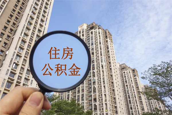 邵东辞职了补充公积金能取不（辞职后补充公积金如何提取）